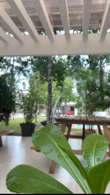 Сasa de vacaciones Casa Luzblanca